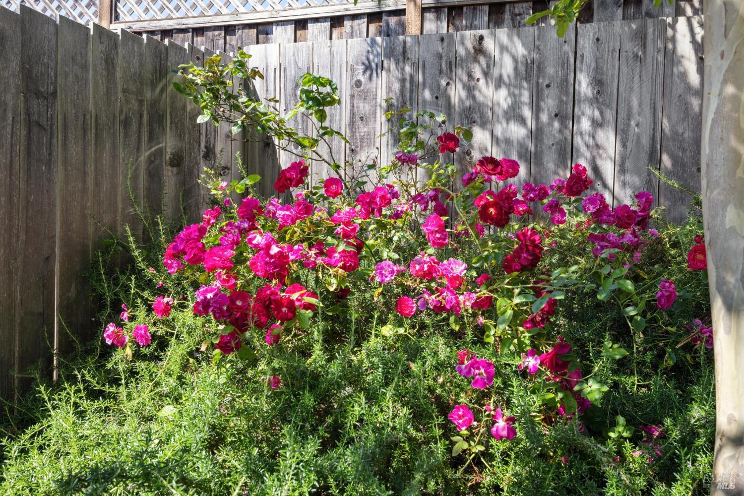 Detail Gallery Image 27 of 35 For 1506 Cerro Sonoma Cir, Petaluma,  CA 94954 - 3 Beds | 2 Baths