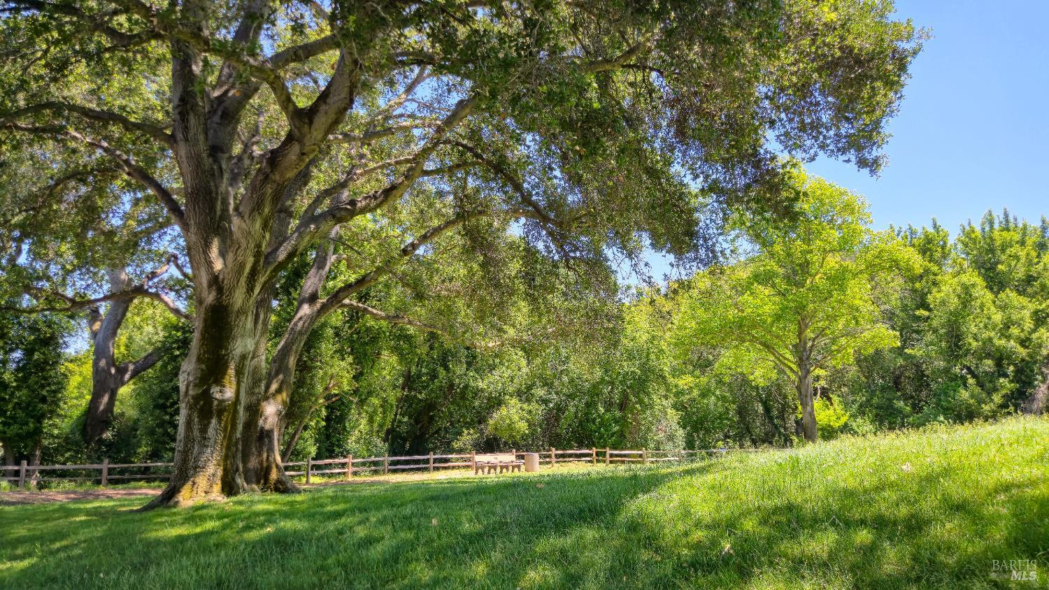 Detail Gallery Image 59 of 62 For 600 Miller Creek Rd, San Rafael,  CA 94903 - 3 Beds | 2/1 Baths