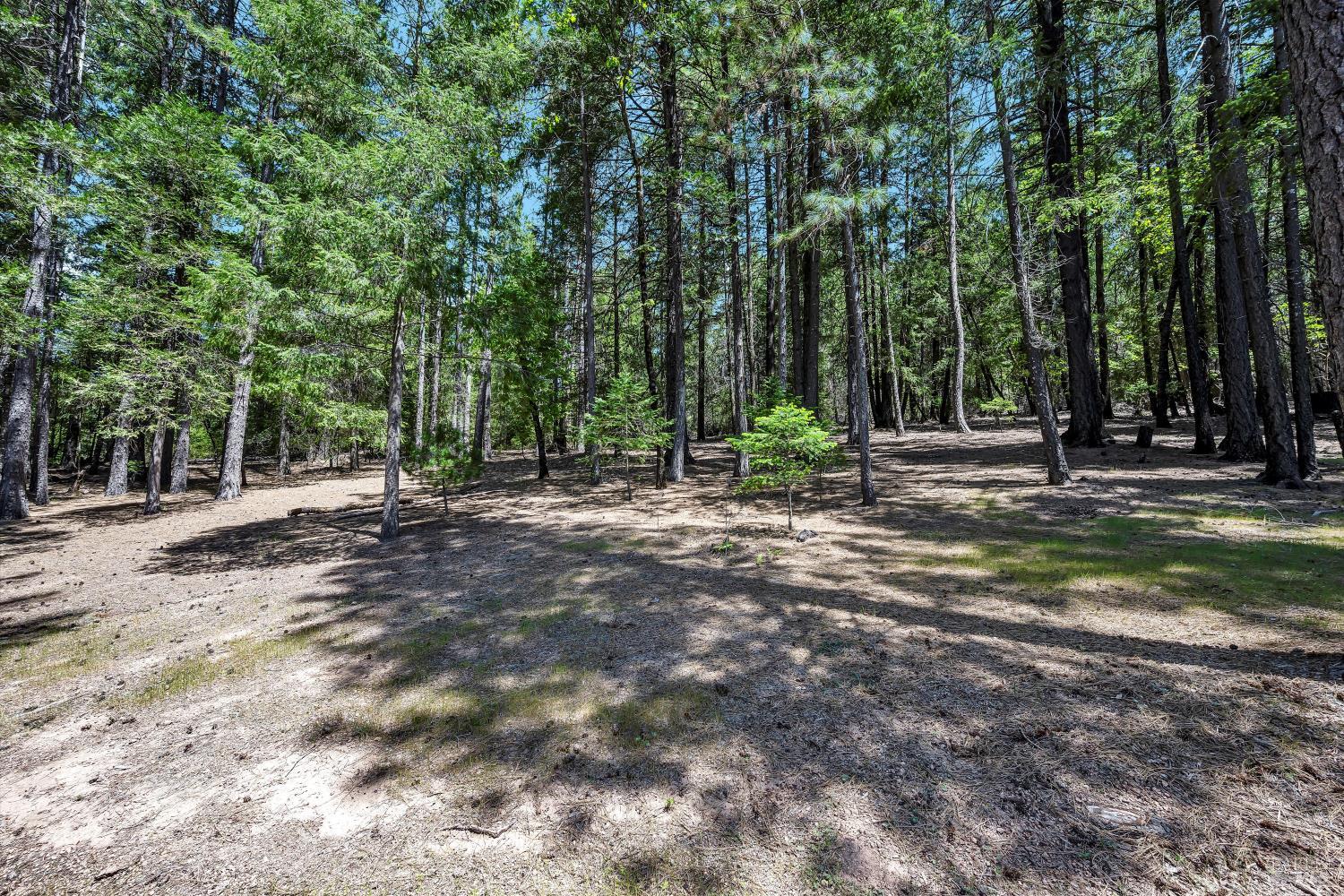 Detail Gallery Image 52 of 59 For 9474 Rockys Rd, Middletown,  CA 95461 - 2 Beds | 2/1 Baths