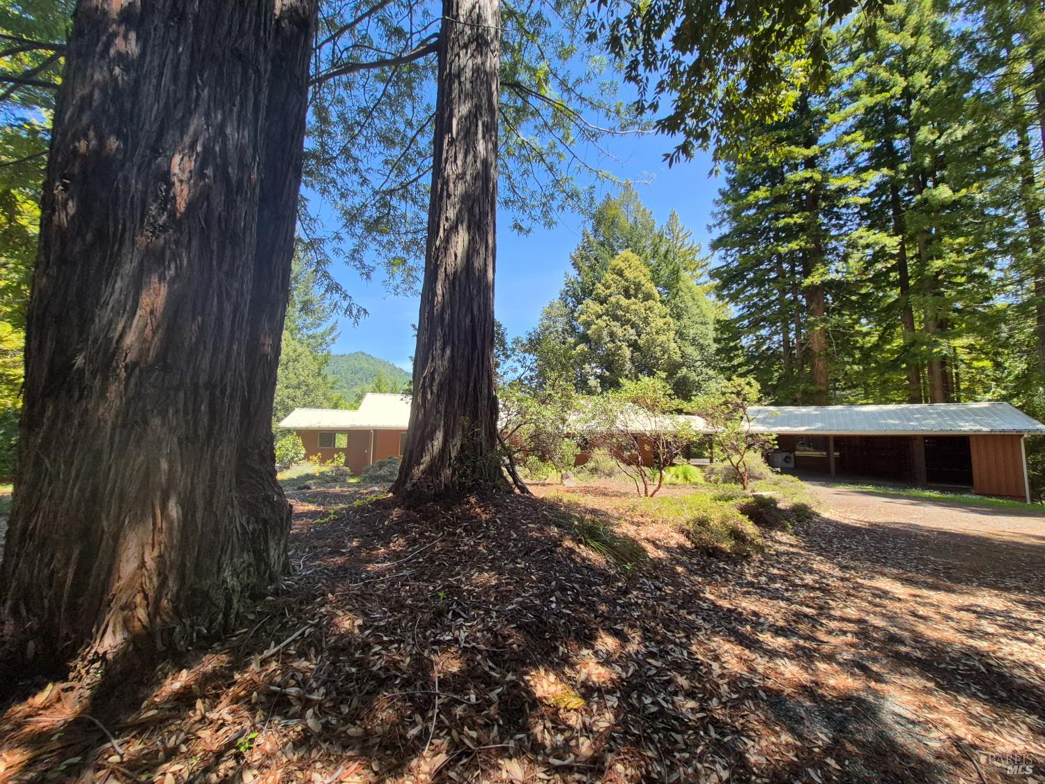 Detail Gallery Image 8 of 72 For 11903 Branscomb Rd, Branscomb,  CA 95454 - 3 Beds | 2 Baths