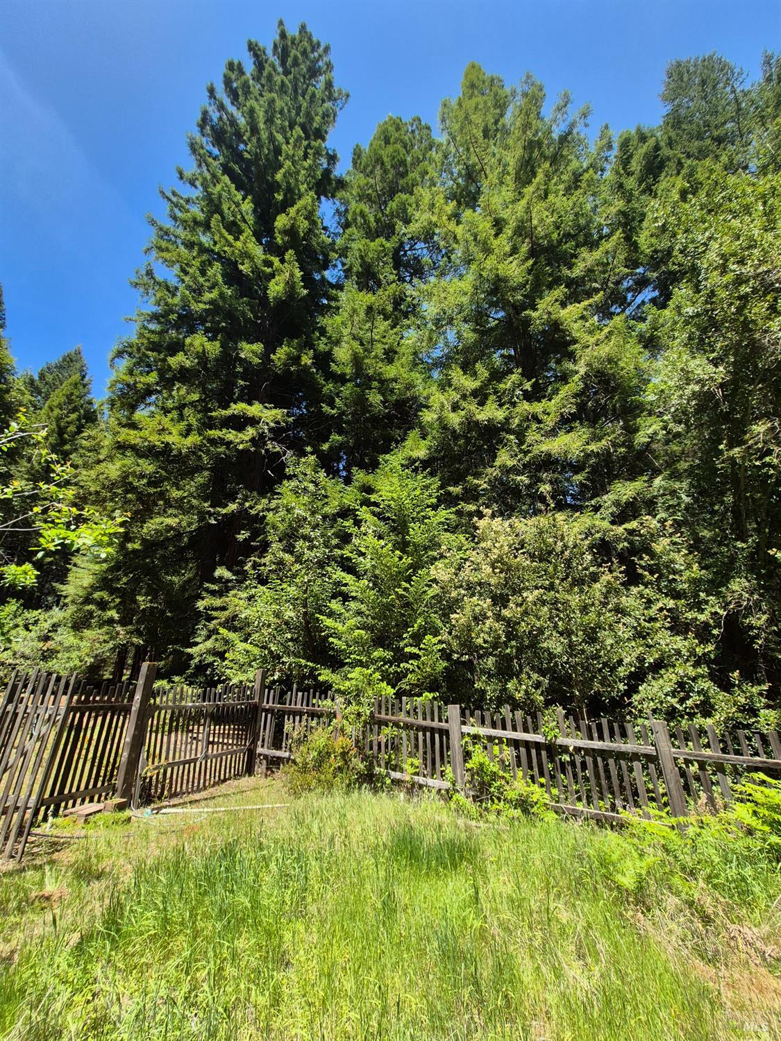 Detail Gallery Image 37 of 72 For 11903 Branscomb Rd, Branscomb,  CA 95454 - 3 Beds | 2 Baths