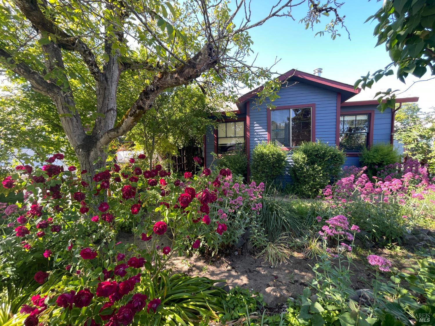 Detail Gallery Image 2 of 68 For 458 E San Francisco Ave, Willits,  CA 95490 - 4 Beds | 2 Baths
