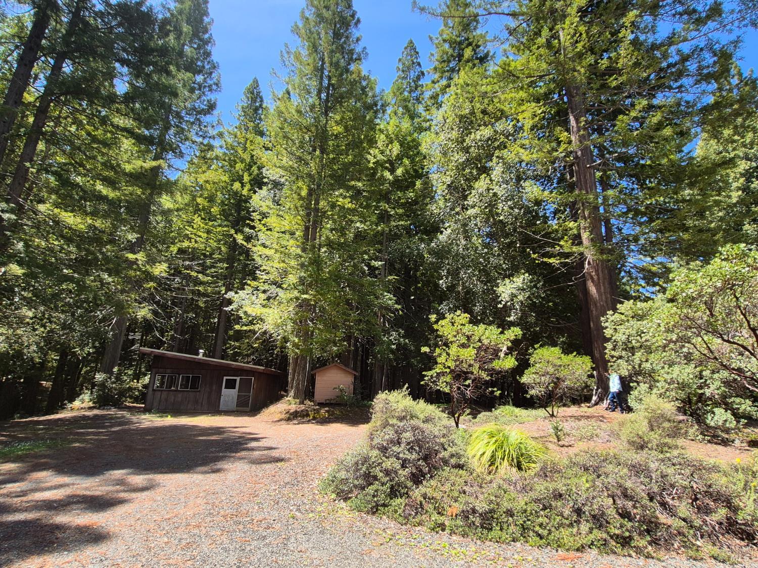 Detail Gallery Image 41 of 72 For 11903 Branscomb Rd, Branscomb,  CA 95454 - 3 Beds | 2 Baths