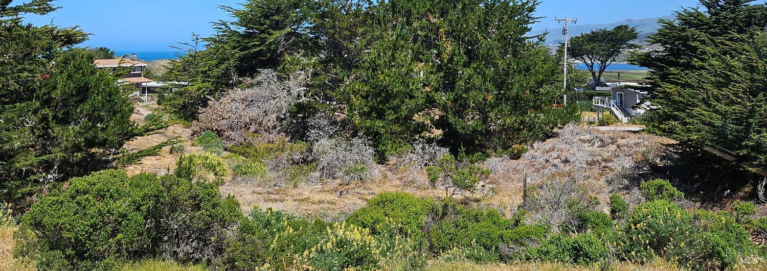 Detail Gallery Image 42 of 47 For 320 Driftwood Ave, Bodega Bay,  CA 94923 - 1 Beds | 2 Baths