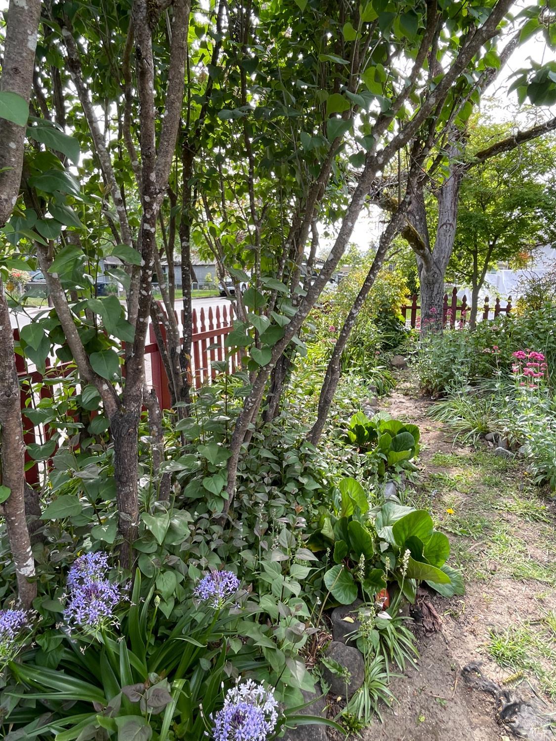 Detail Gallery Image 65 of 68 For 458 E San Francisco Ave, Willits,  CA 95490 - 4 Beds | 2 Baths