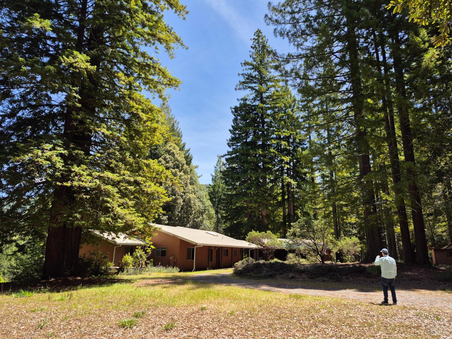 Detail Gallery Image 2 of 72 For 11903 Branscomb Rd, Branscomb,  CA 95454 - 3 Beds | 2 Baths