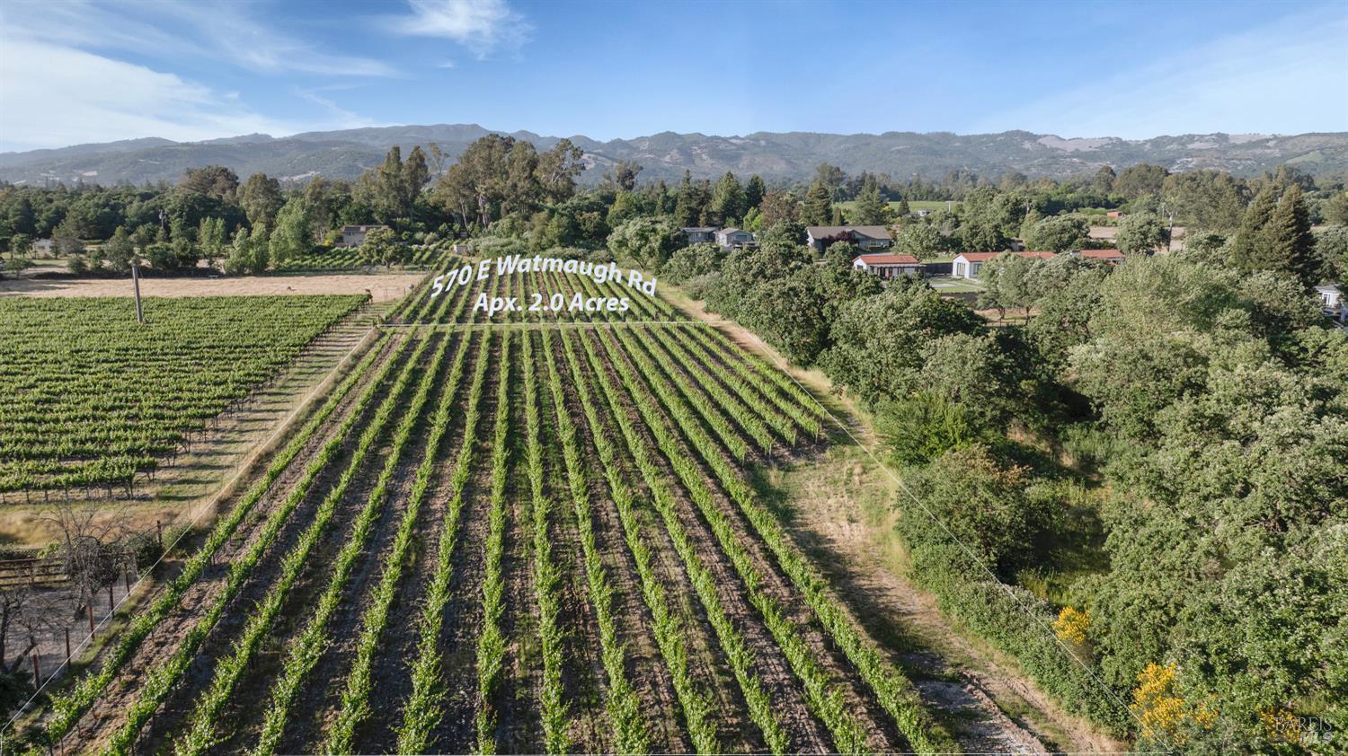 Detail Gallery Image 1 of 8 For 570 E Watmaugh Rd, Sonoma,  CA 95476 - – Beds | – Baths