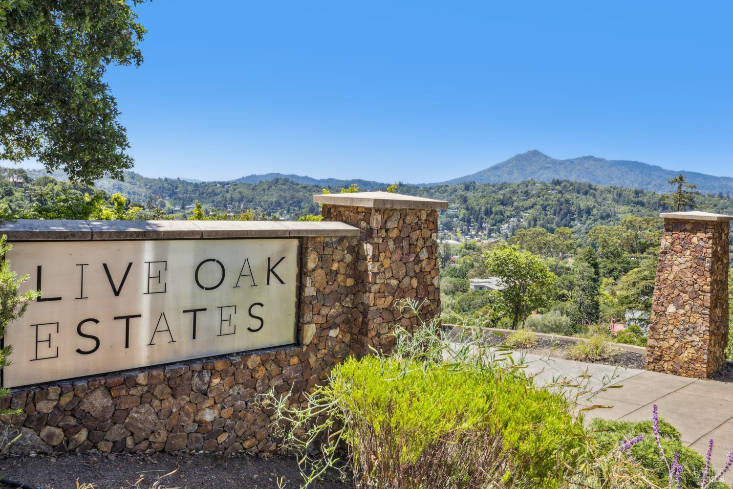 Detail Gallery Image 13 of 64 For 6 Live Oak Way, San Rafael,  CA 94901 - 4 Beds | 4/1 Baths