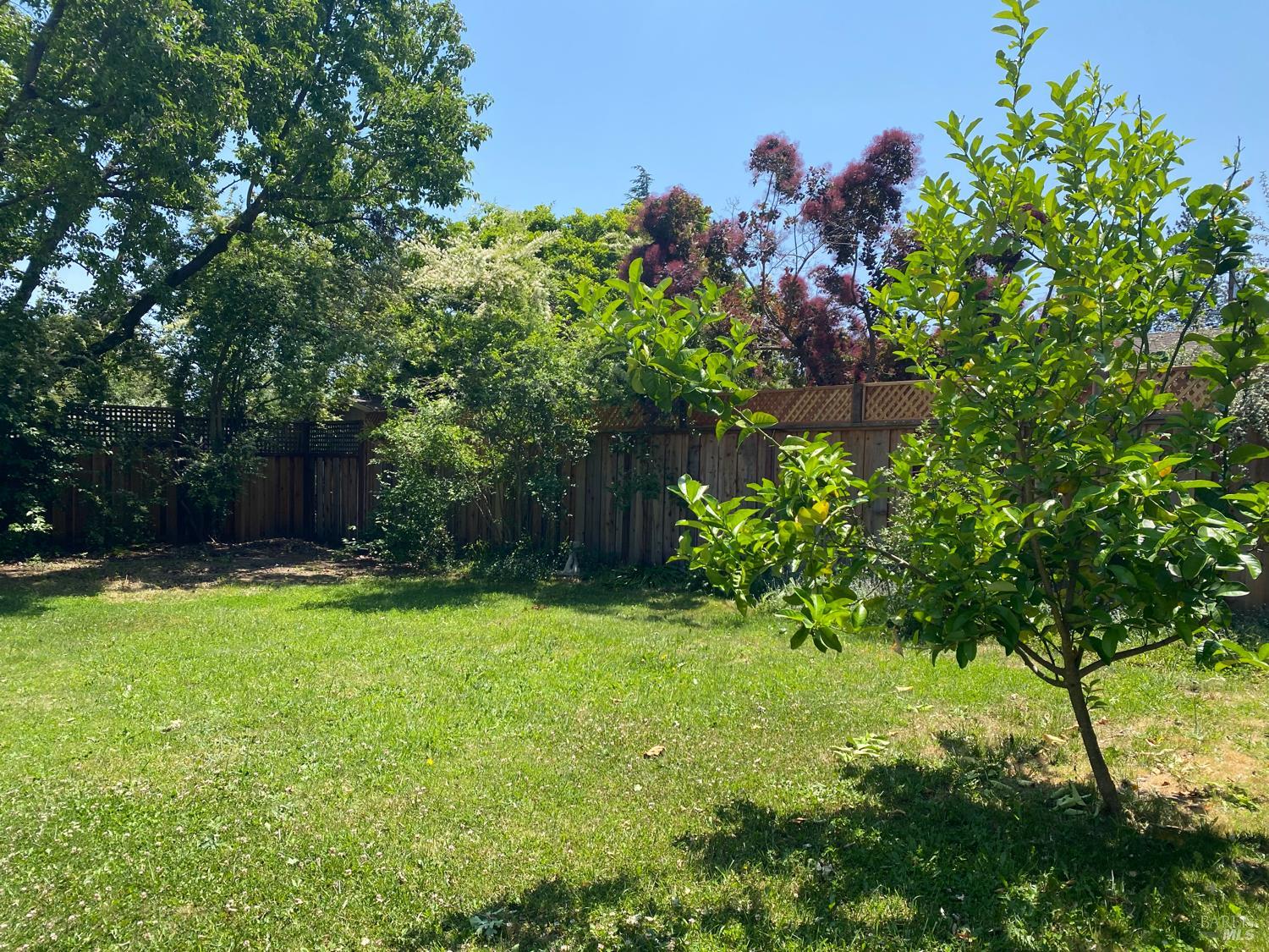 Detail Gallery Image 59 of 64 For 1125 East Ct, Novato,  CA 94945 - 2 Beds | 1 Baths