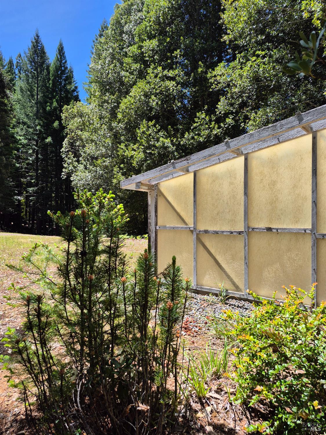 Detail Gallery Image 12 of 72 For 11903 Branscomb Rd, Branscomb,  CA 95454 - 3 Beds | 2 Baths