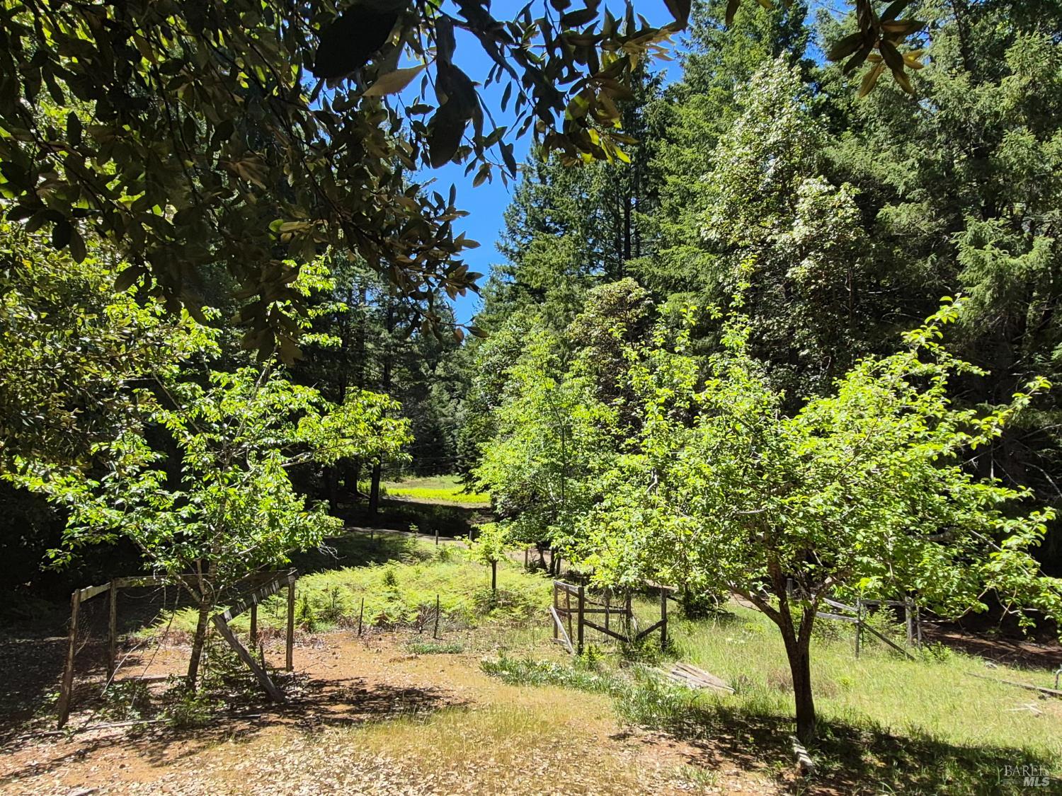 Detail Gallery Image 25 of 72 For 11903 Branscomb Rd, Branscomb,  CA 95454 - 3 Beds | 2 Baths