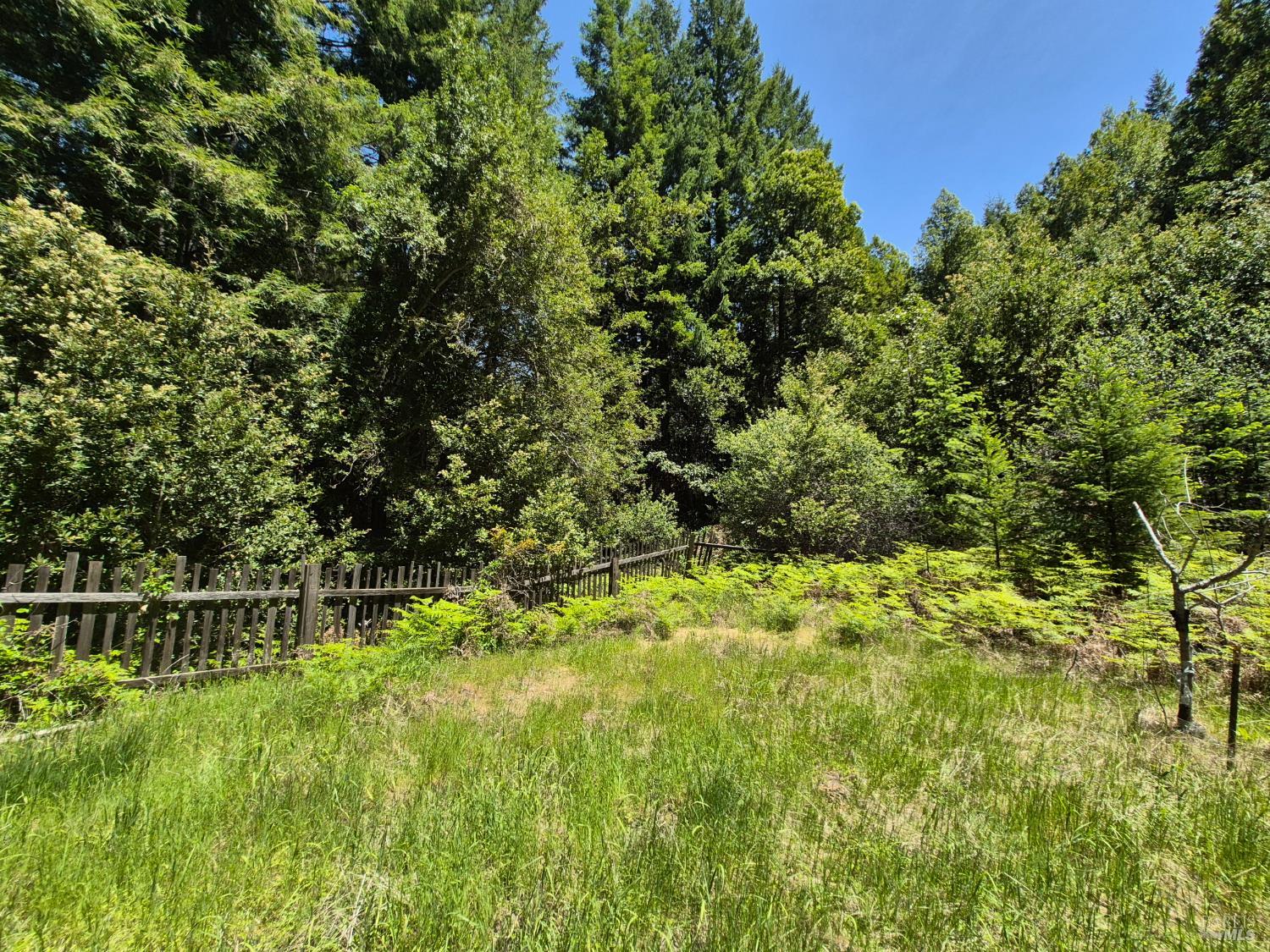 Detail Gallery Image 36 of 72 For 11903 Branscomb Rd, Branscomb,  CA 95454 - 3 Beds | 2 Baths