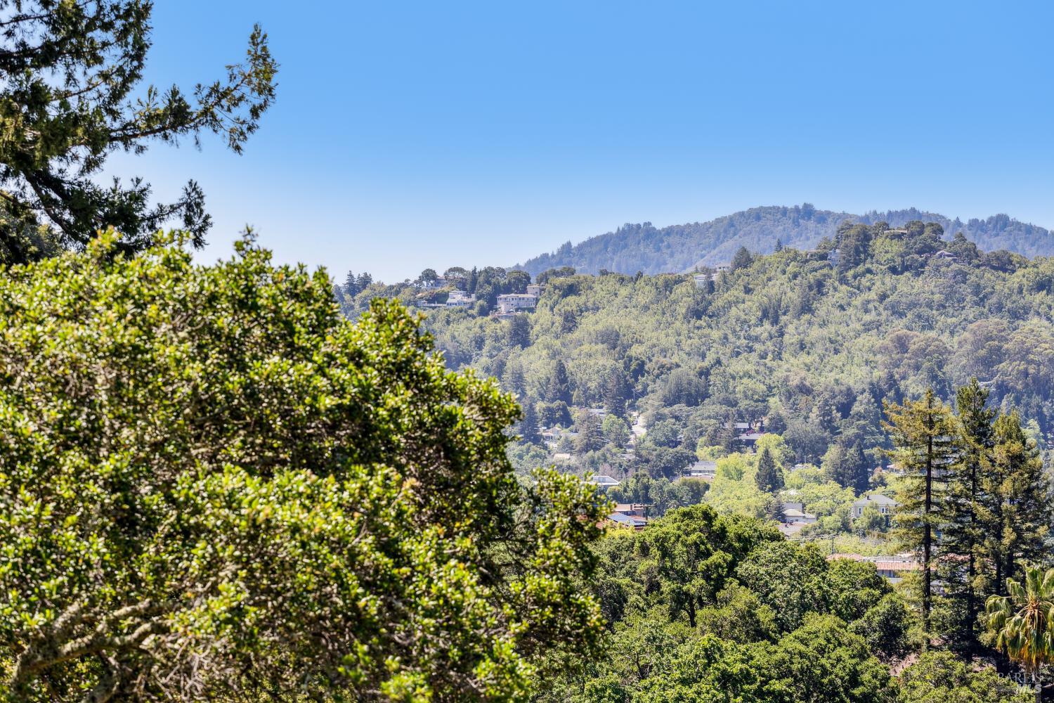 Detail Gallery Image 9 of 64 For 6 Live Oak Way, San Rafael,  CA 94901 - 4 Beds | 4/1 Baths