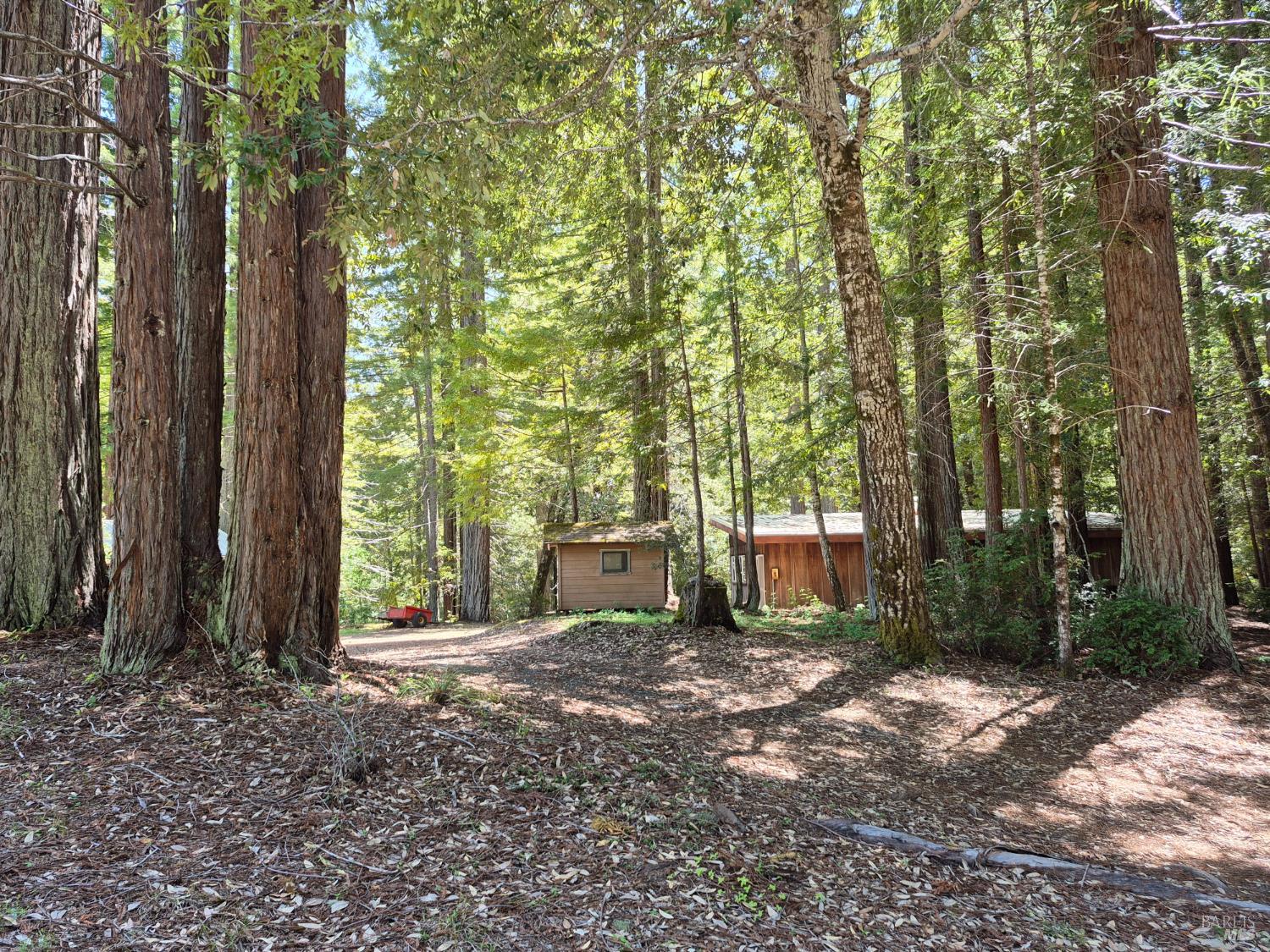 Detail Gallery Image 42 of 72 For 11903 Branscomb Rd, Branscomb,  CA 95454 - 3 Beds | 2 Baths