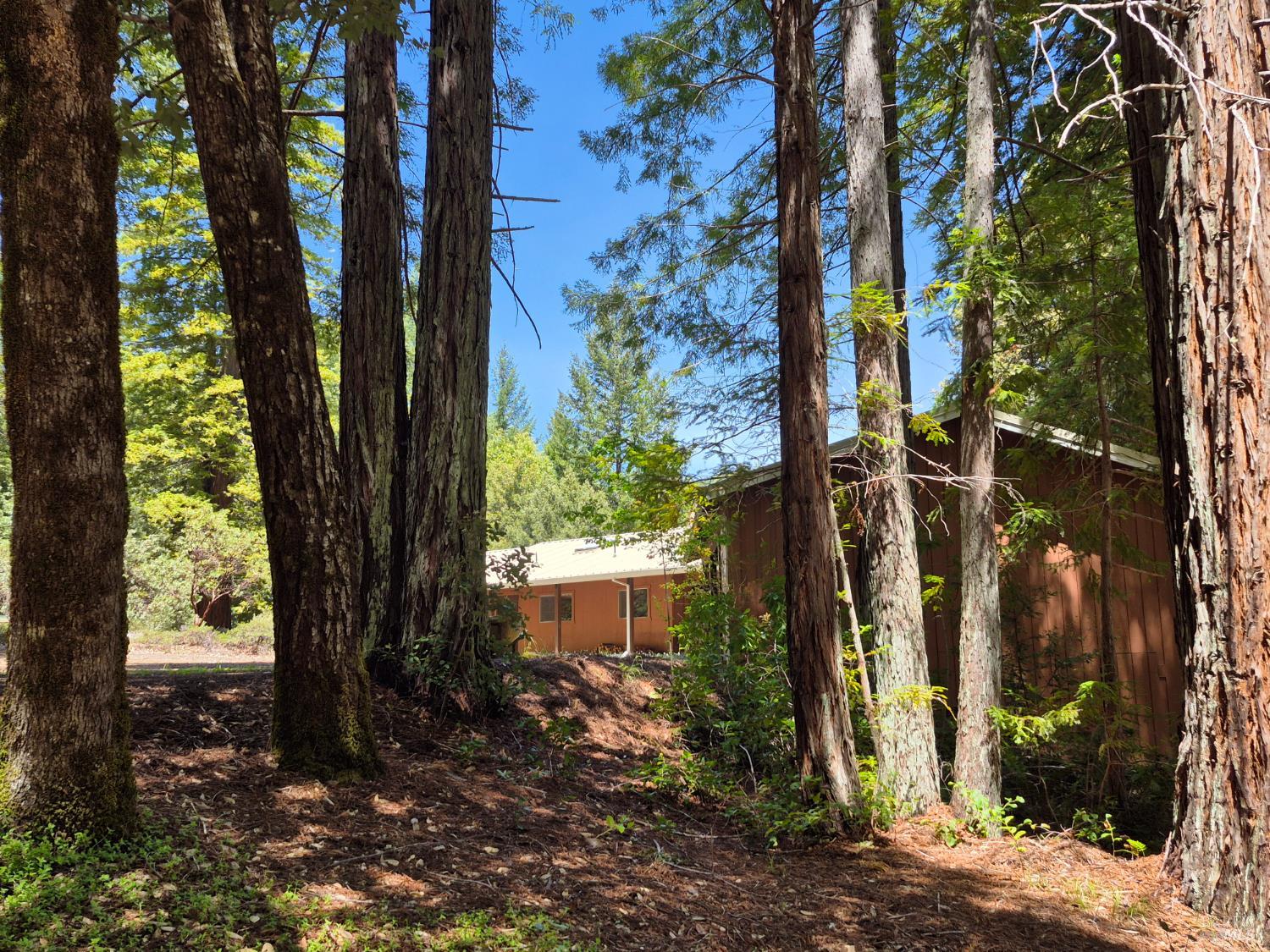 Detail Gallery Image 39 of 72 For 11903 Branscomb Rd, Branscomb,  CA 95454 - 3 Beds | 2 Baths