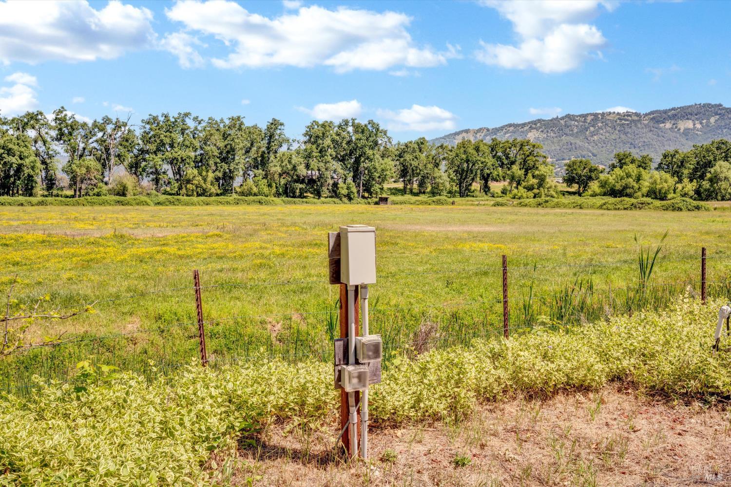 Detail Gallery Image 59 of 73 For 9700 Spring Valley Rd, Potter Valley,  CA 95469 - 3 Beds | 2 Baths