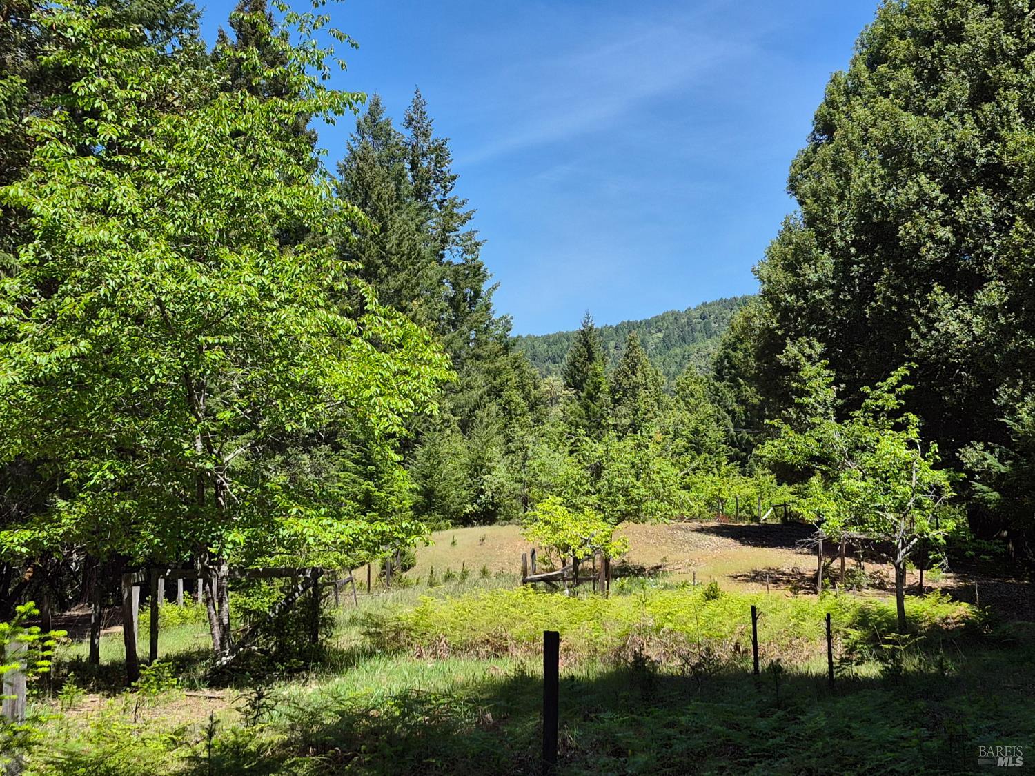 Detail Gallery Image 23 of 72 For 11903 Branscomb Rd, Branscomb,  CA 95454 - 3 Beds | 2 Baths