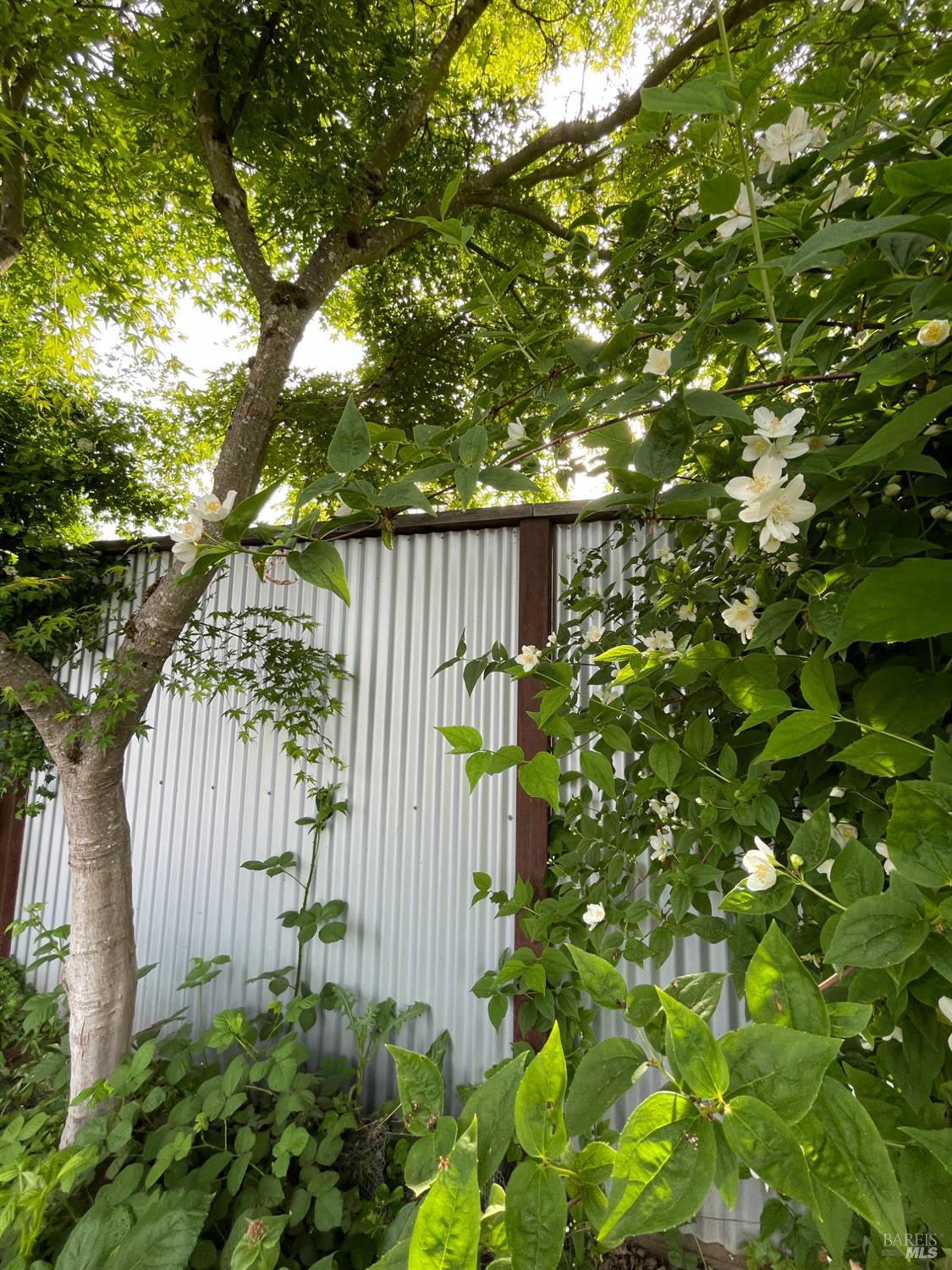 Detail Gallery Image 49 of 68 For 458 E San Francisco Ave, Willits,  CA 95490 - 4 Beds | 2 Baths