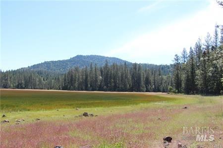 Detail Gallery Image 25 of 25 For 11322 Bottle Rock Rd, Kelseyville,  CA 95451 - – Beds | – Baths