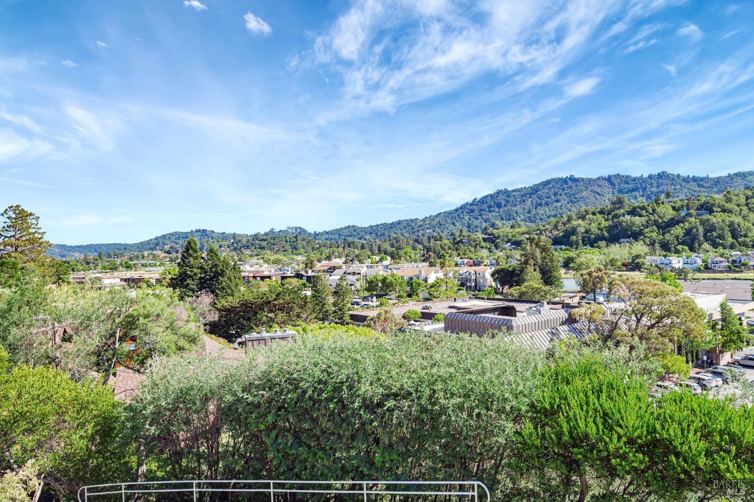 Detail Gallery Image 47 of 60 For 55 Tamalpais Rd, Kentfield,  CA 94904 - 4 Beds | 4 Baths