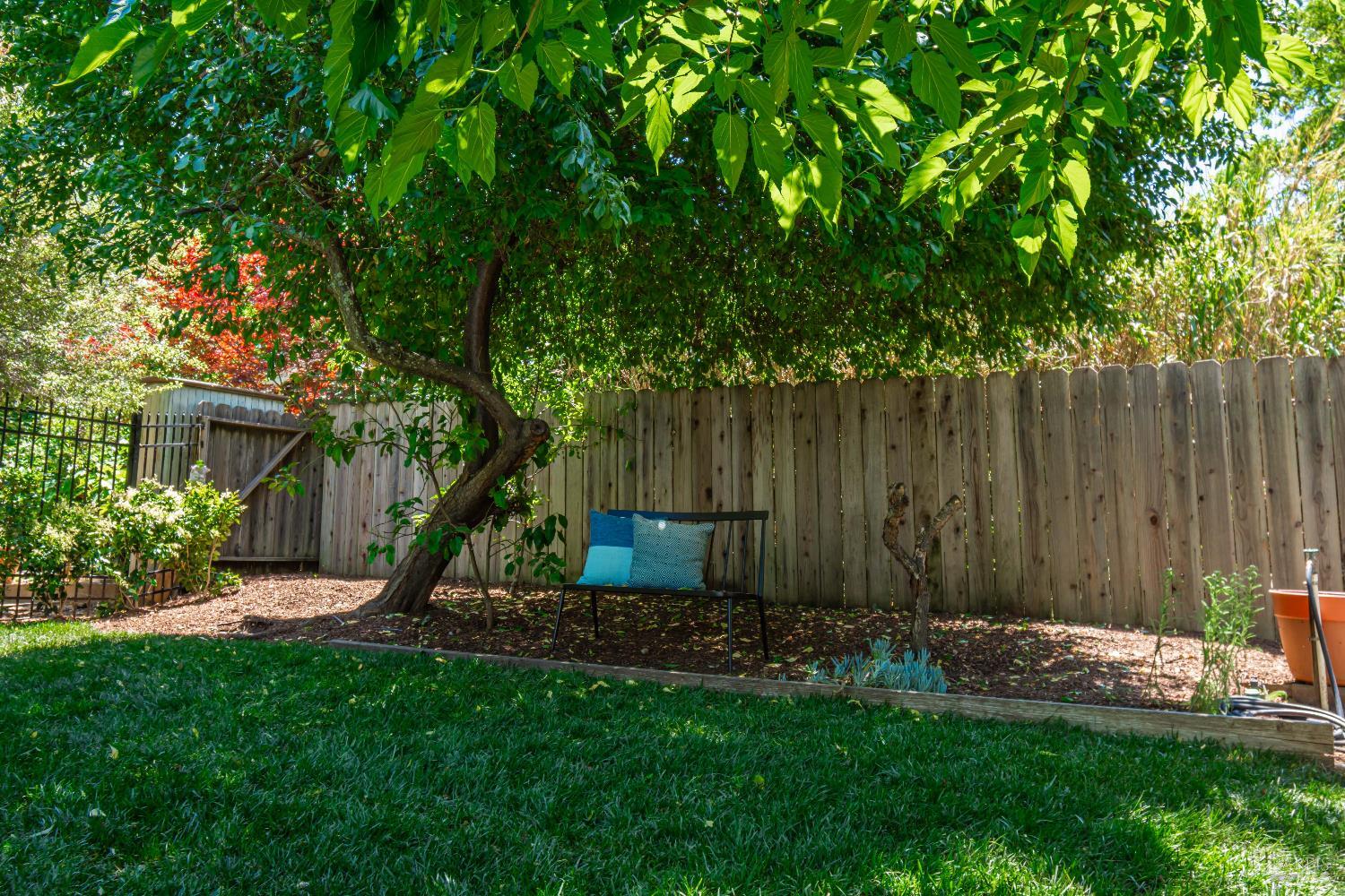 Detail Gallery Image 42 of 53 For 225 Berna Ave, Napa,  CA 94559 - 3 Beds | 2/1 Baths