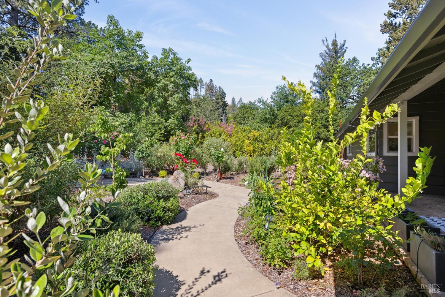 Detail Gallery Image 34 of 48 For 2120 Palmer Dr, Saint Helena,  CA 94574 - 3 Beds | 2 Baths