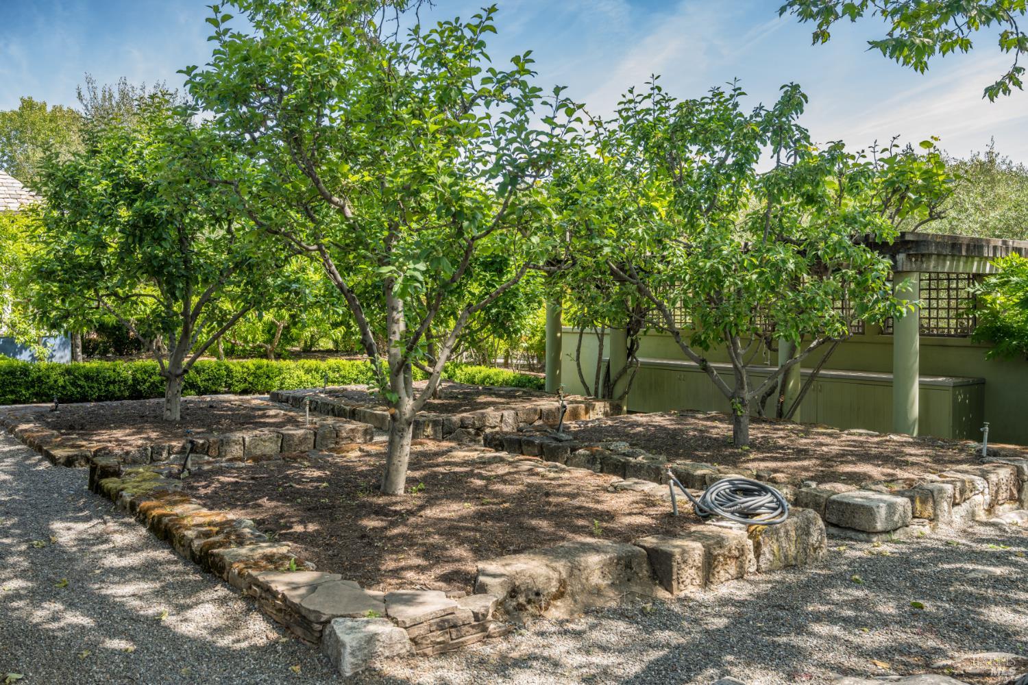 Detail Gallery Image 51 of 70 For 900 Rutherford Rd, Rutherford,  CA 94573 - 6 Beds | 6/1 Baths