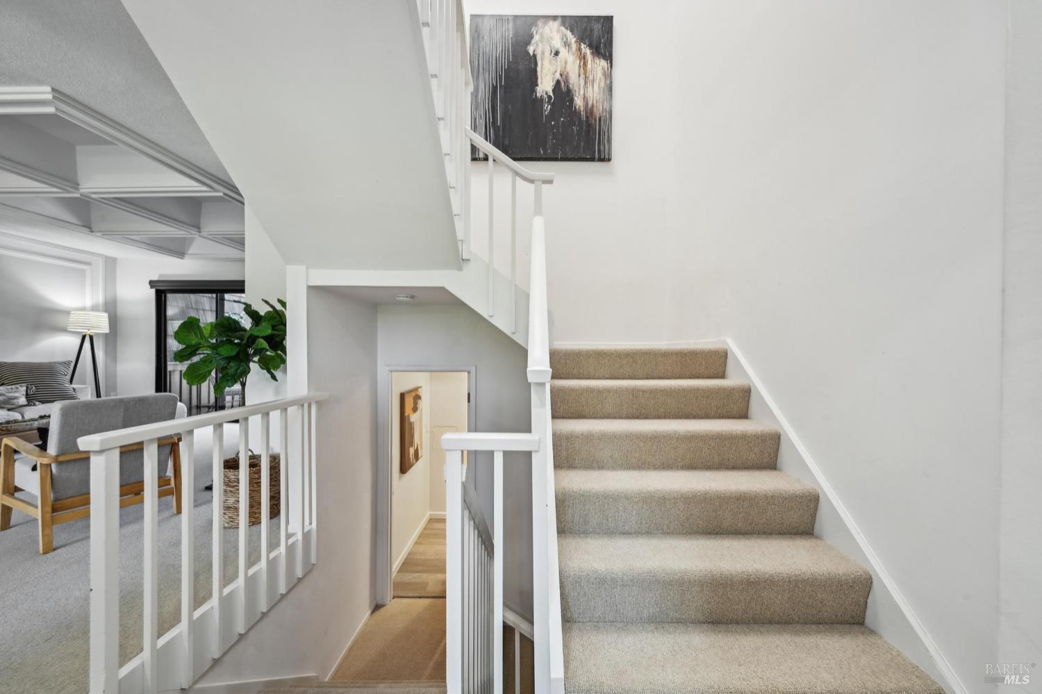 Detail Gallery Image 29 of 54 For 239 Knollwood Dr, San Rafael,  CA 94901 - 2 Beds | 2/1 Baths