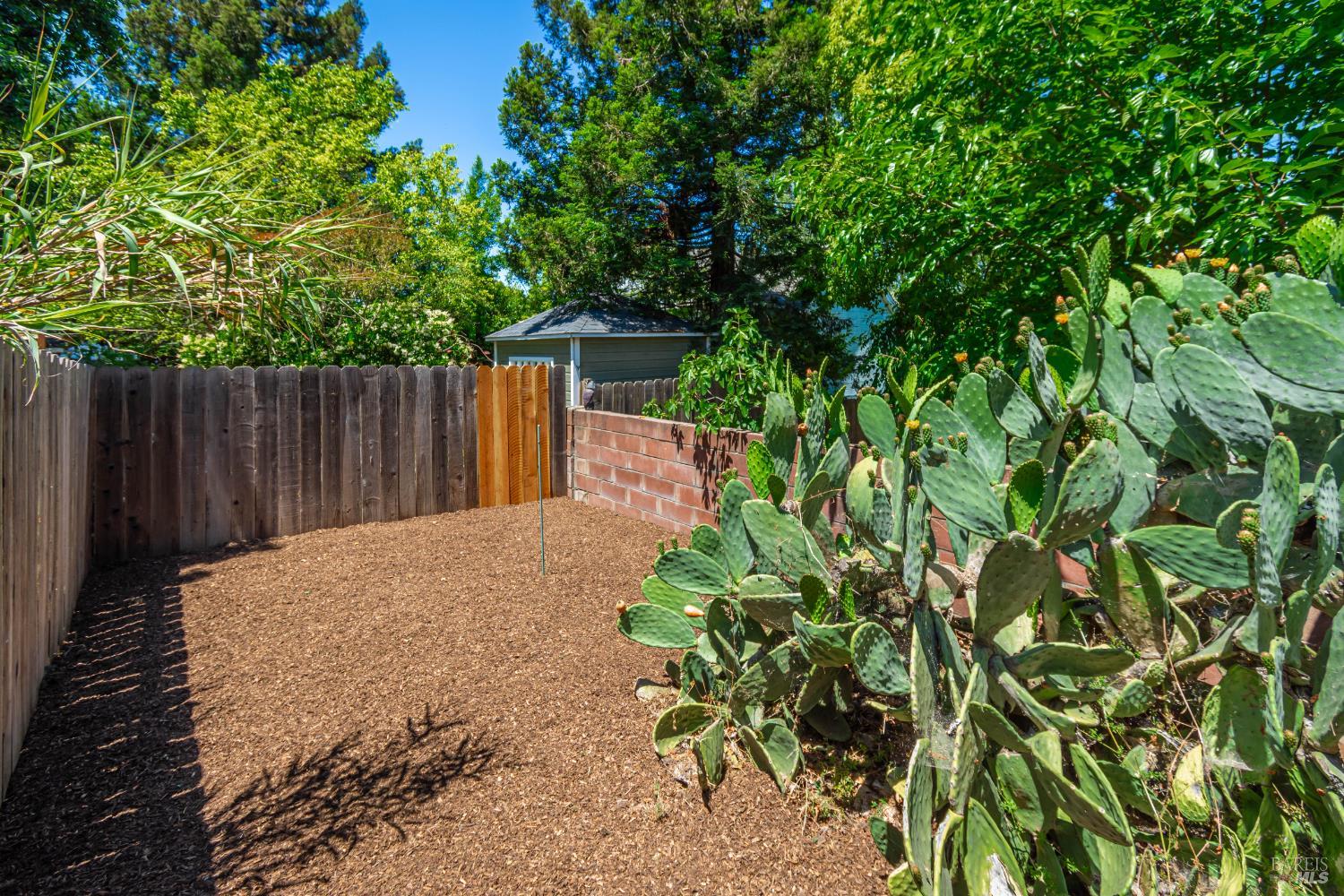 Detail Gallery Image 47 of 53 For 225 Berna Ave, Napa,  CA 94559 - 3 Beds | 2/1 Baths