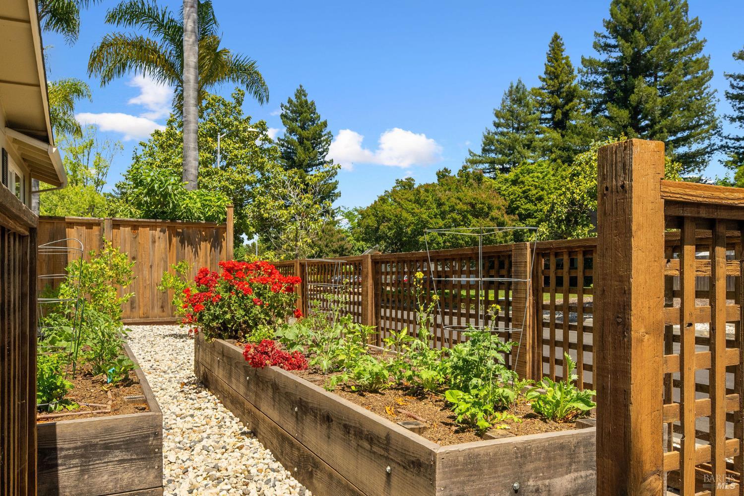 Detail Gallery Image 62 of 83 For 3936 Young Ave, Napa,  CA 94558 - 4 Beds | 2 Baths