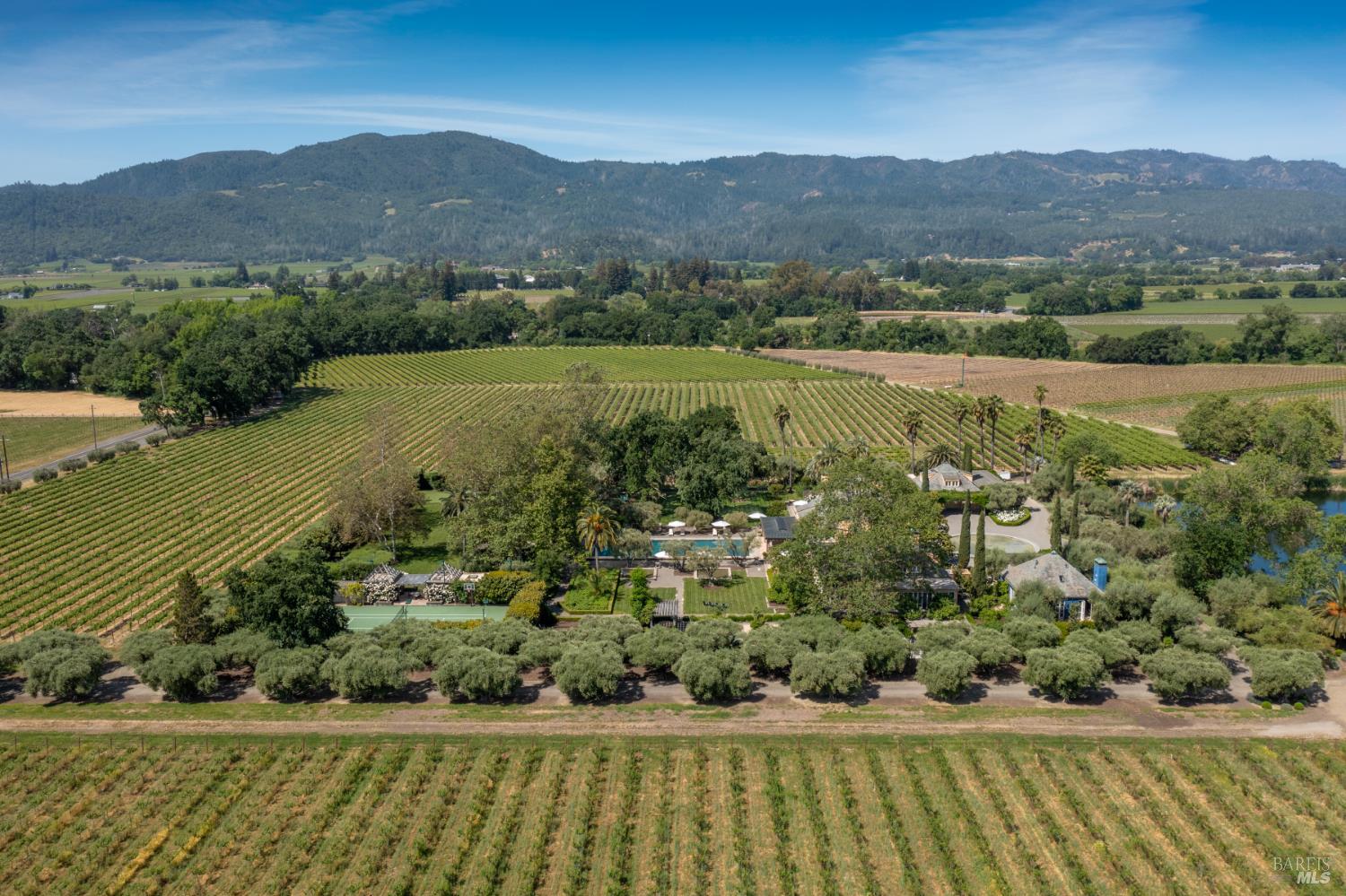 Detail Gallery Image 69 of 70 For 900 Rutherford Rd, Rutherford,  CA 94573 - 6 Beds | 6/1 Baths