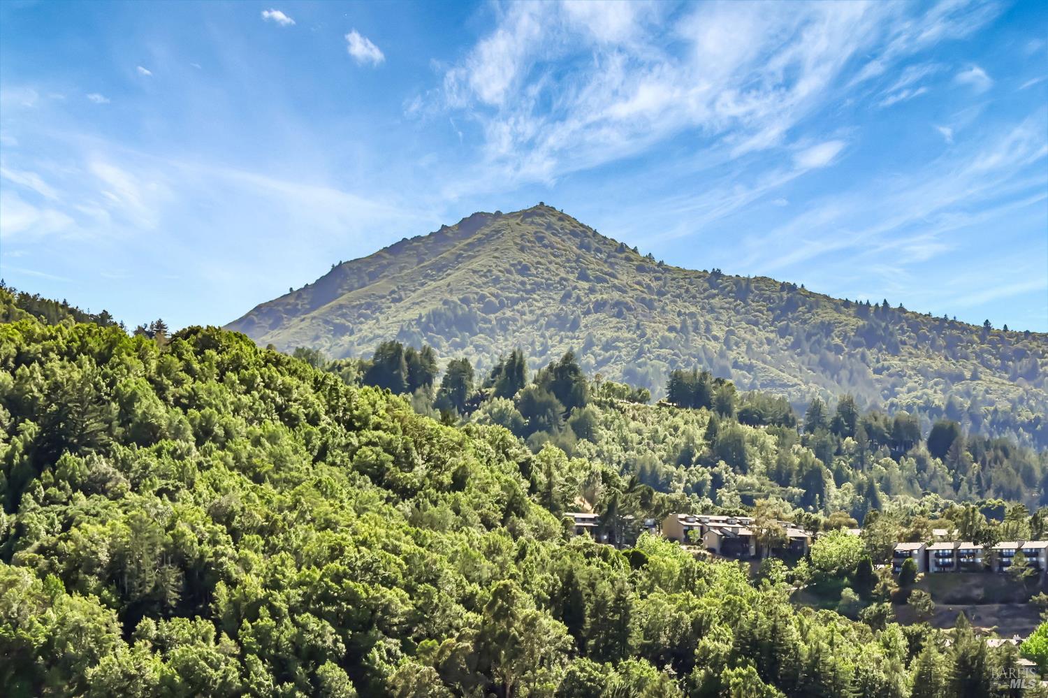 Detail Gallery Image 2 of 60 For 55 Tamalpais Rd, Kentfield,  CA 94904 - 4 Beds | 4 Baths