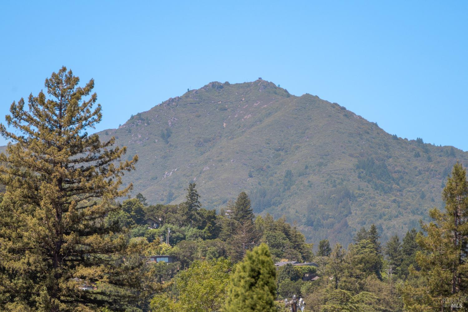 Detail Gallery Image 5 of 24 For 40 Redwood Ave, Corte Madera,  CA 94925 - 2 Beds | 2 Baths