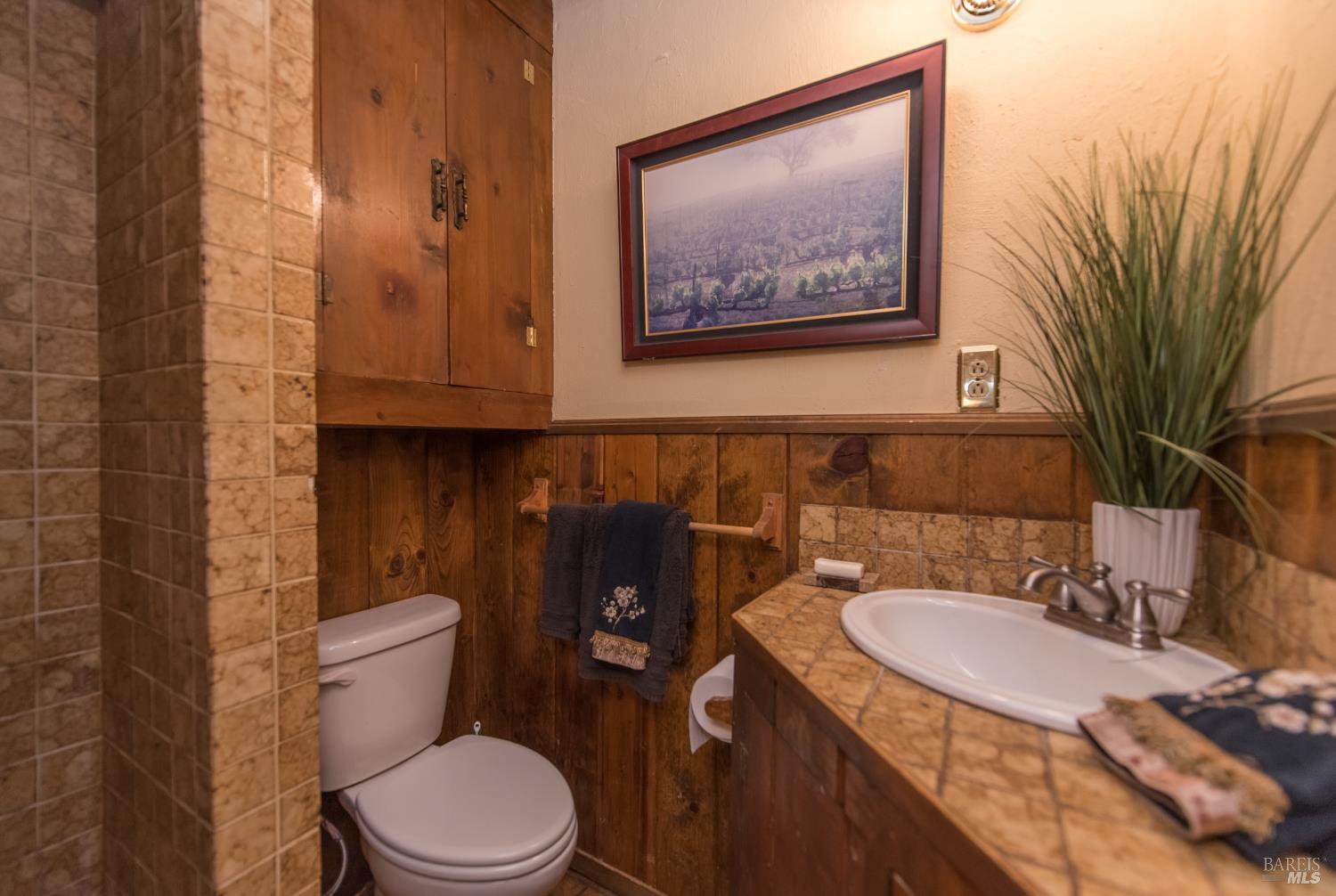 Detail Gallery Image 22 of 49 For 11917 Laurel Ave, Forestville,  CA 95436 - 3 Beds | 3 Baths