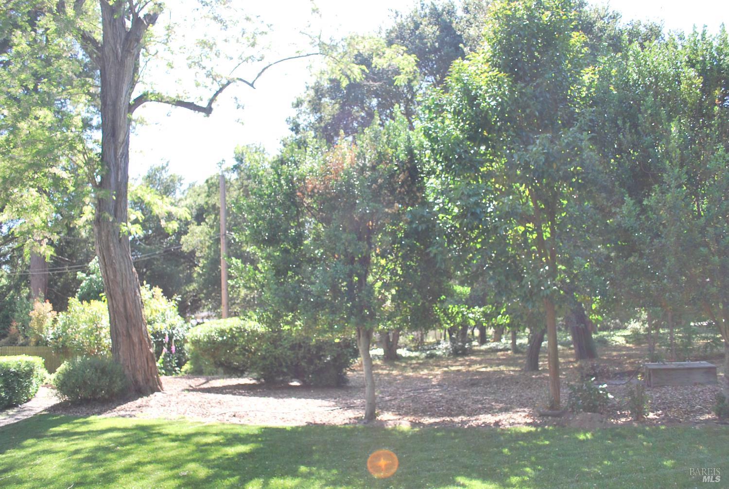 Detail Gallery Image 46 of 50 For 1801 Bodega Ave, Petaluma,  CA 94952 - 5 Beds | 2/1 Baths