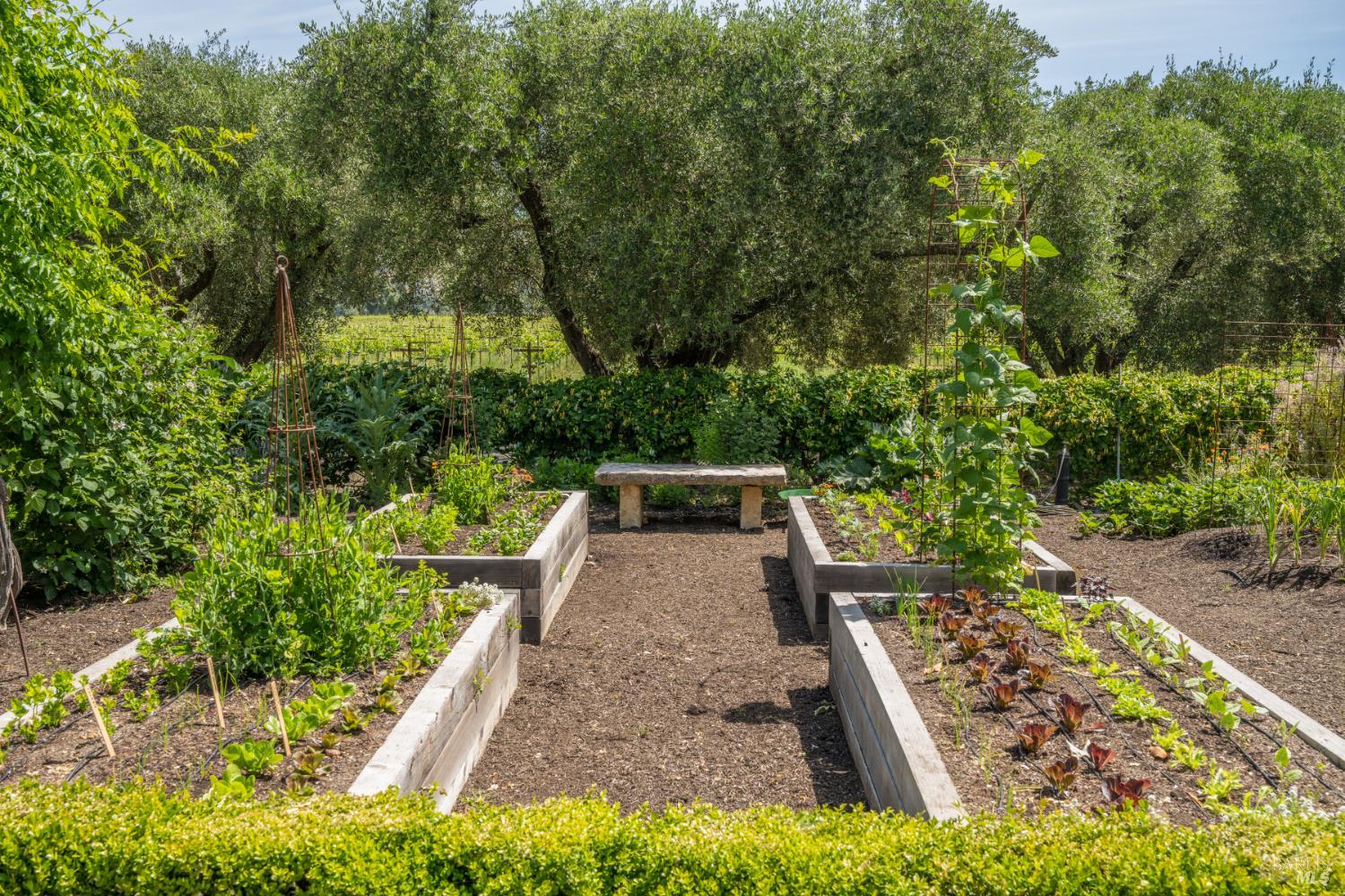 Detail Gallery Image 49 of 70 For 900 Rutherford Rd, Rutherford,  CA 94573 - 6 Beds | 6/1 Baths