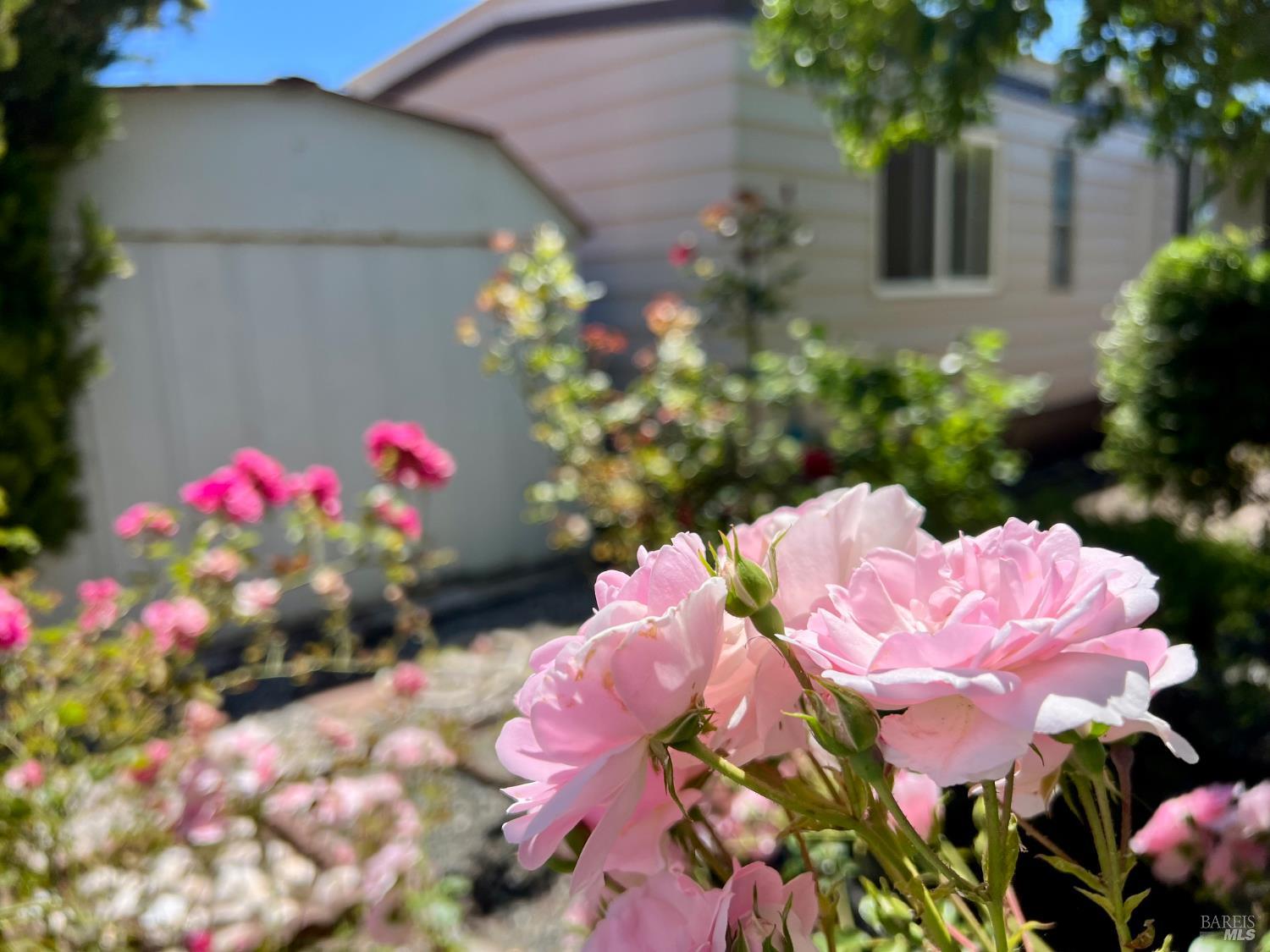 Detail Gallery Image 21 of 25 For 101 Drake Mews Unkn, Sonoma,  CA 95476 - 2 Beds | 2 Baths