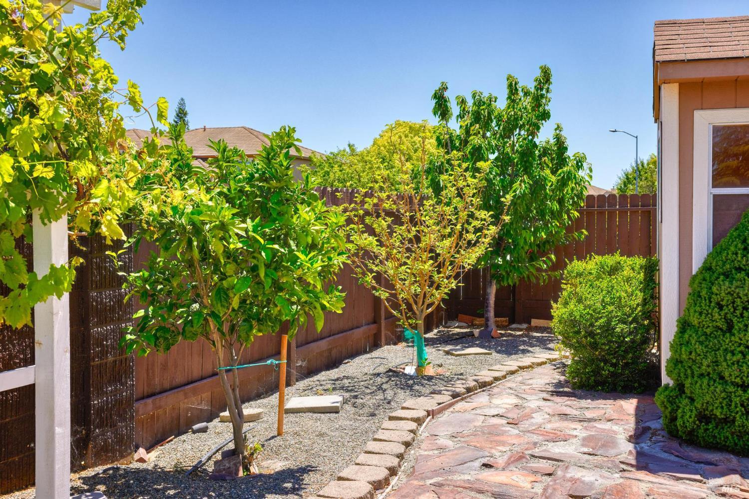 Detail Gallery Image 50 of 64 For 1101 Wildplum Ct, Vacaville,  CA 95687 - 6 Beds | 3 Baths