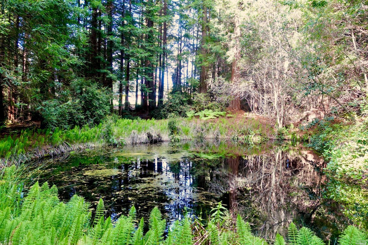 Detail Gallery Image 5 of 17 For Address Is Not Disclosed, Mendocino,  CA 95460 - – Beds | – Baths