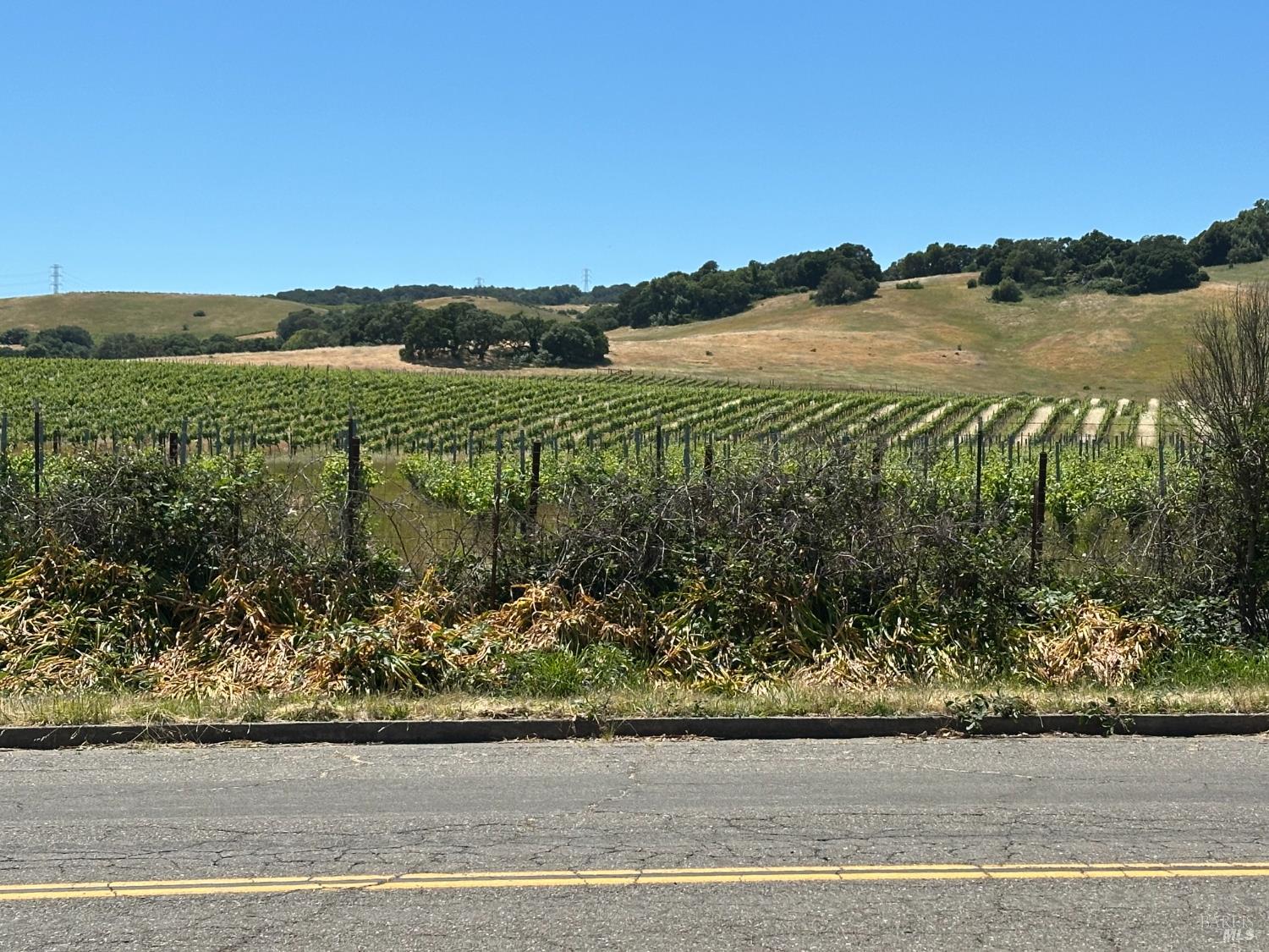 Detail Gallery Image 22 of 24 For 123 Bear Flag Rd, Sonoma,  CA 95476 - 2 Beds | 2 Baths
