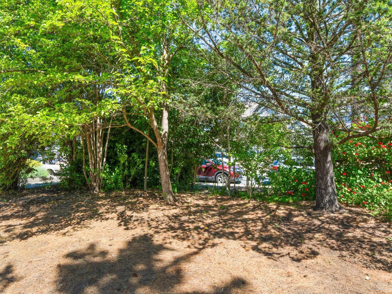 Detail Gallery Image 49 of 52 For 442 Piper St, Healdsburg,  CA 95448 - 3 Beds | 2 Baths