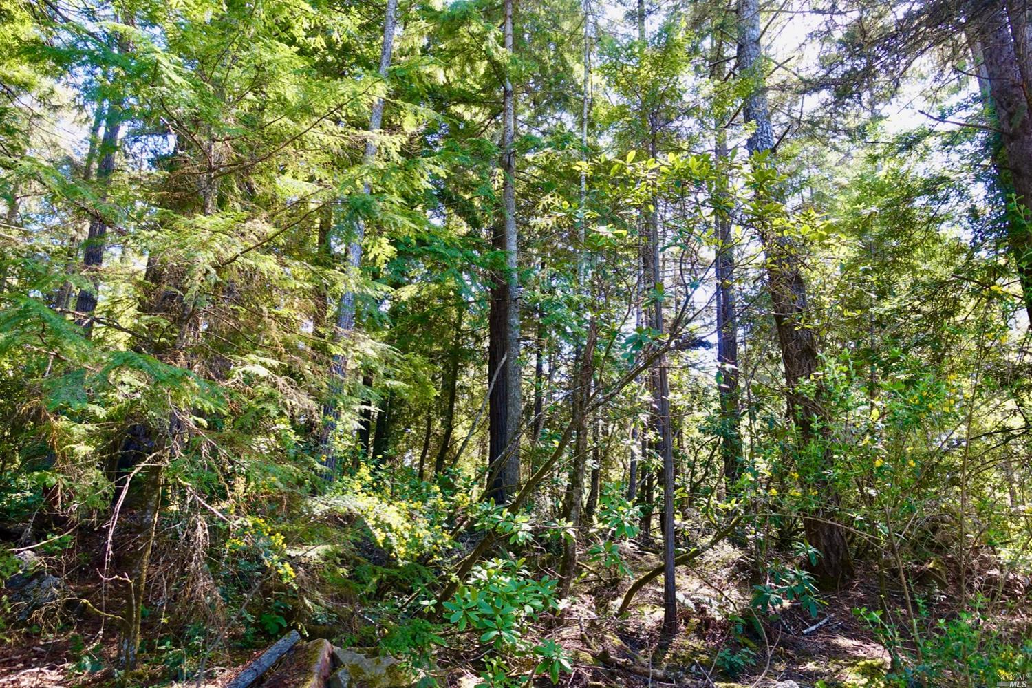 Detail Gallery Image 9 of 17 For Address Is Not Disclosed, Mendocino,  CA 95460 - – Beds | – Baths