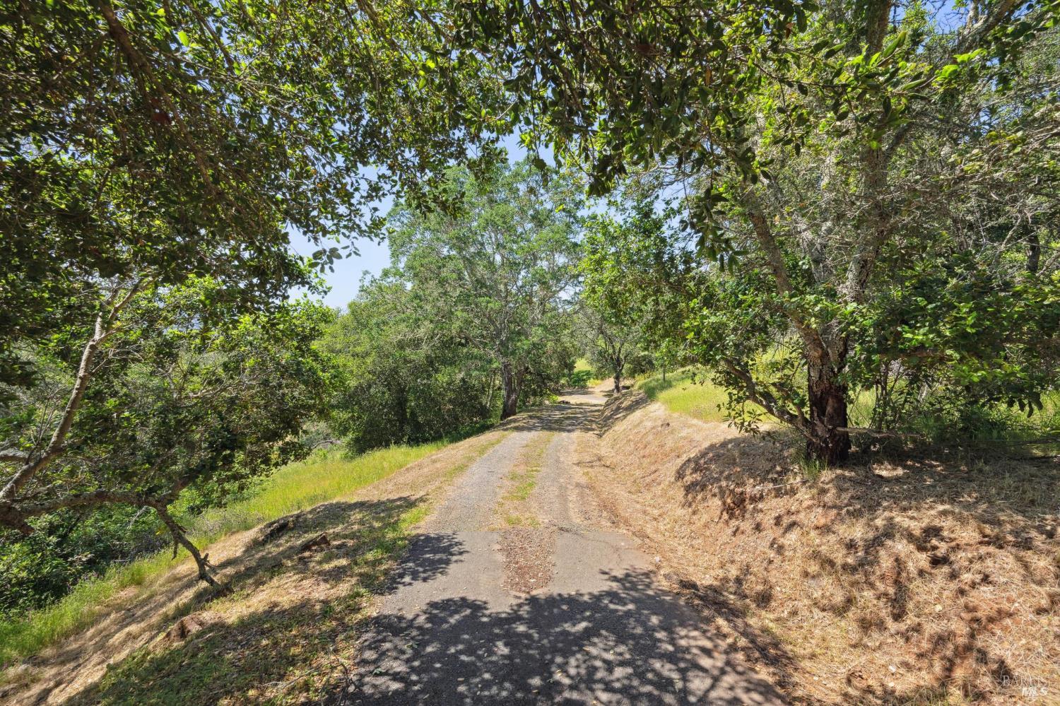 Detail Gallery Image 10 of 27 For 605 Cavedale Rd, Sonoma,  CA 95476 - – Beds | – Baths