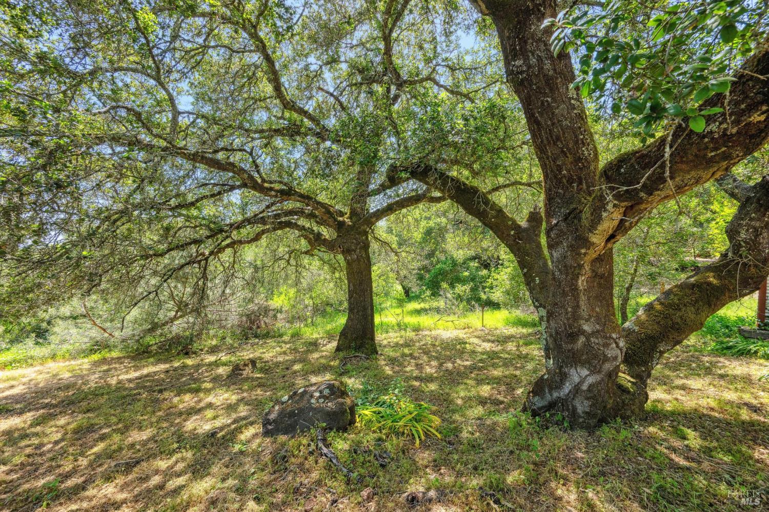 Detail Gallery Image 20 of 27 For 605 Cavedale Rd, Sonoma,  CA 95476 - – Beds | – Baths