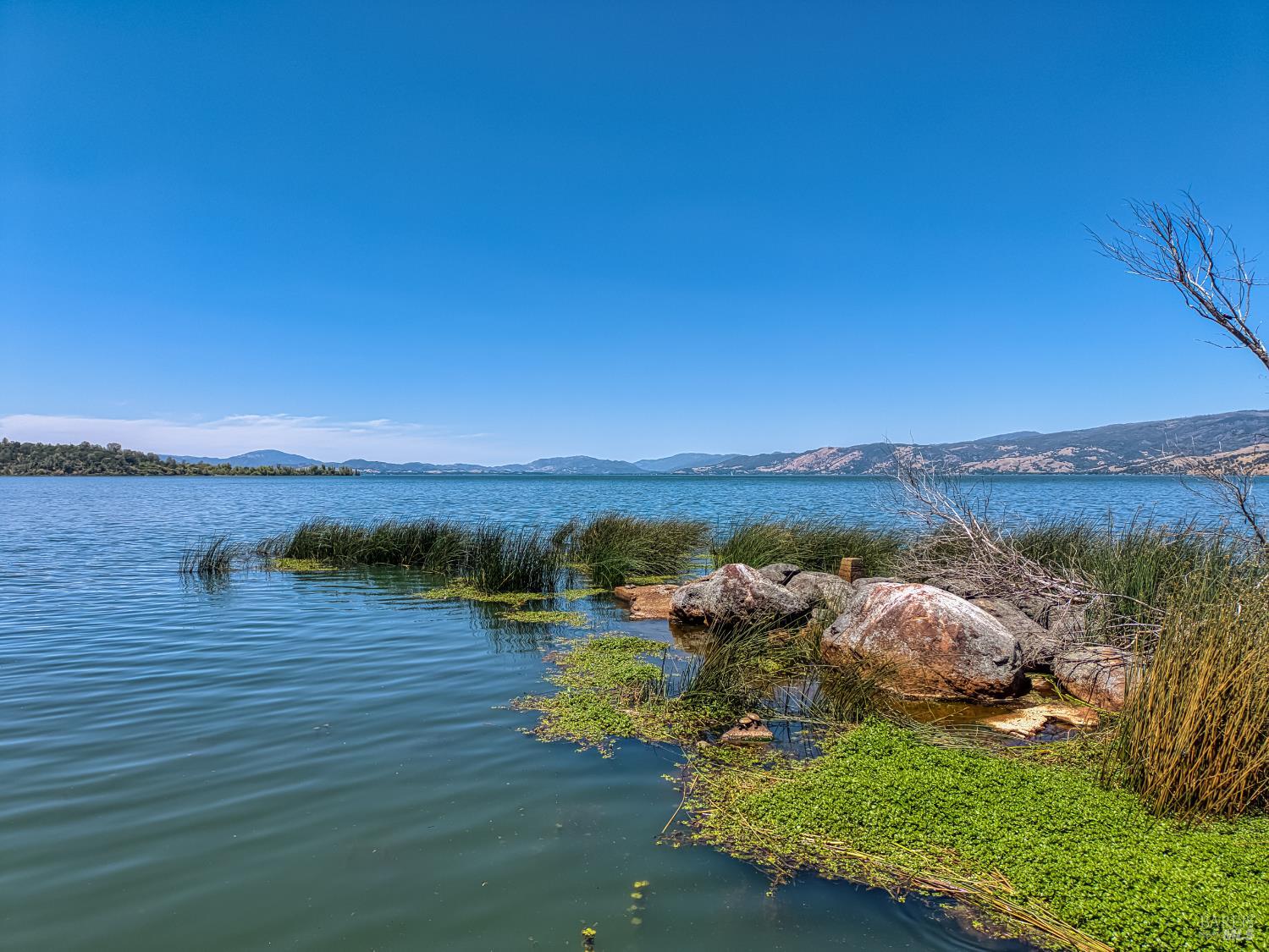 Detail Gallery Image 57 of 68 For 2998 Willow Rd, Kelseyville,  CA 95451 - 2 Beds | 2 Baths