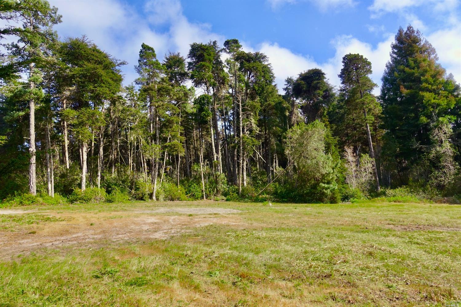 Detail Gallery Image 6 of 17 For Address Is Not Disclosed, Mendocino,  CA 95460 - – Beds | – Baths