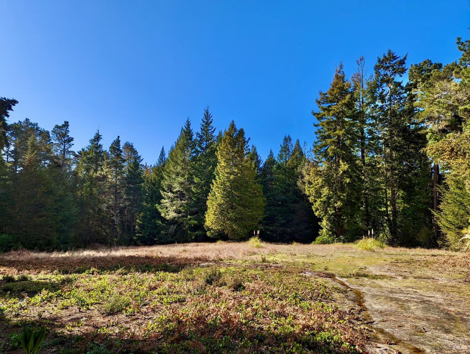Detail Gallery Image 17 of 17 For Address Is Not Disclosed, Mendocino,  CA 95460 - – Beds | – Baths