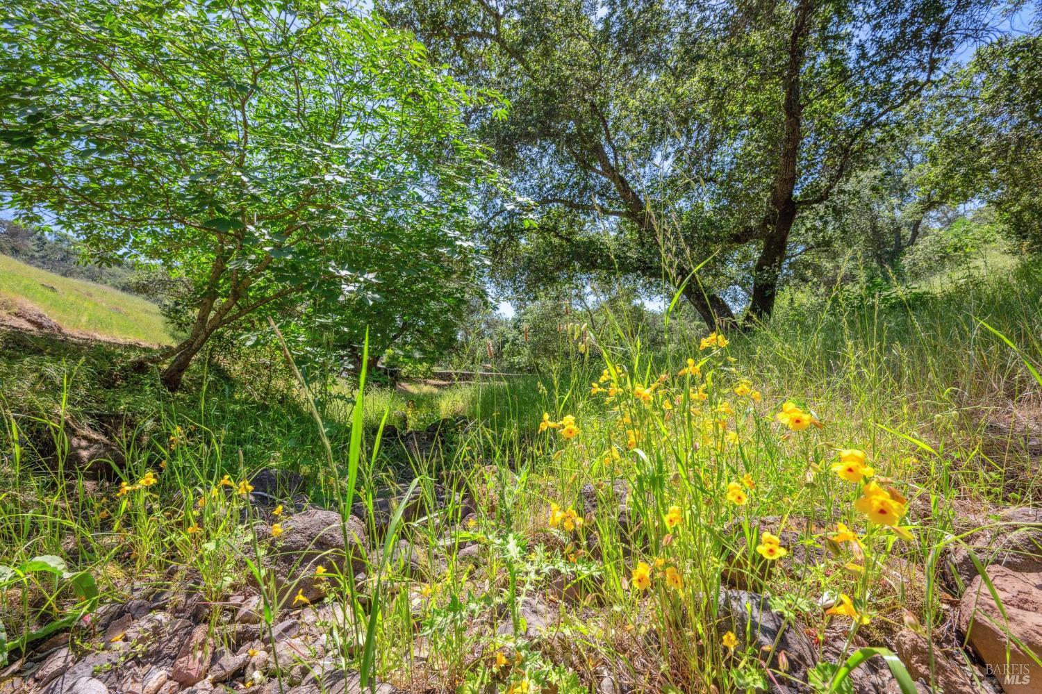 Detail Gallery Image 21 of 27 For 605 Cavedale Rd, Sonoma,  CA 95476 - – Beds | – Baths