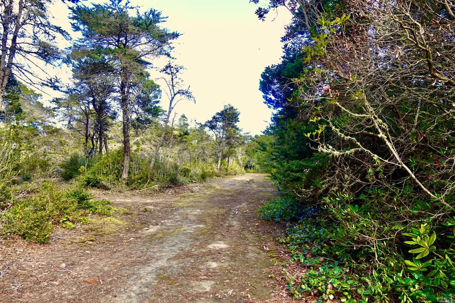 Detail Gallery Image 13 of 17 For Address Is Not Disclosed, Mendocino,  CA 95460 - – Beds | – Baths
