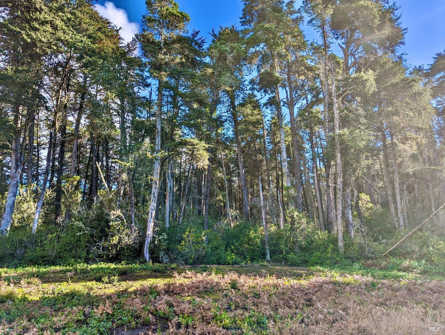 Detail Gallery Image 16 of 17 For Address Is Not Disclosed, Mendocino,  CA 95460 - – Beds | – Baths